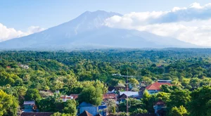 دينبأسأر, بألي