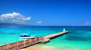 مونتيجو بأي