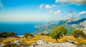 بالما مايوركا