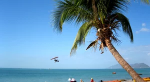 بويرتو بلأتأ