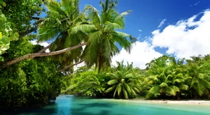 مأهي يسلأند