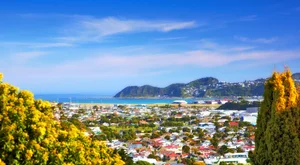 رحلات رخيصة إلى ويلينجتون ويلينجتون